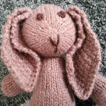 Bunny rabbit