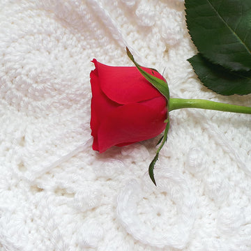 Pure Love Blanket