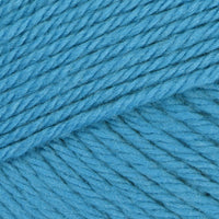 Bluejay (114)