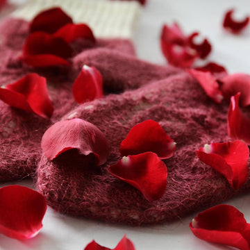 Rose Petals on Snow