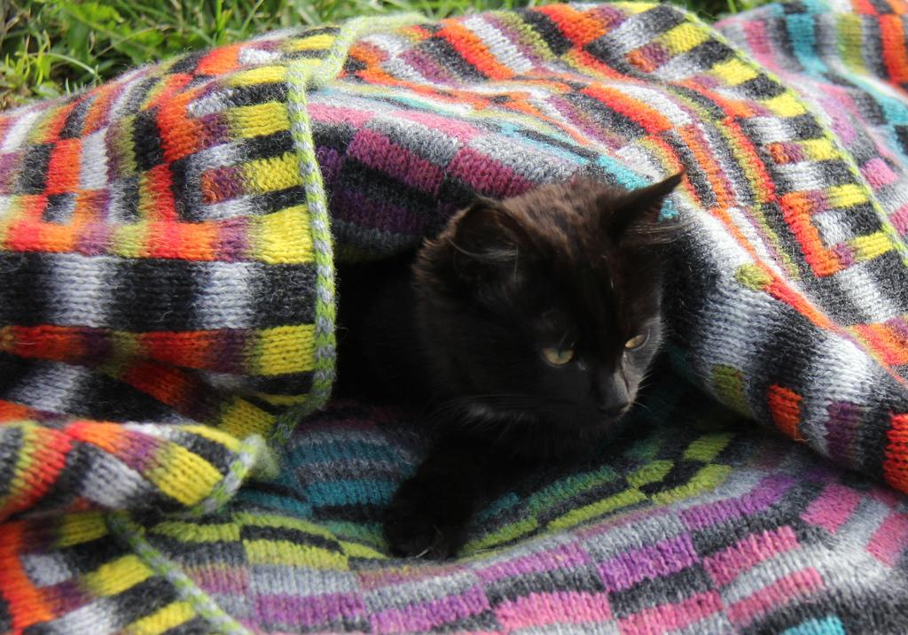Sunburst DK Blanket