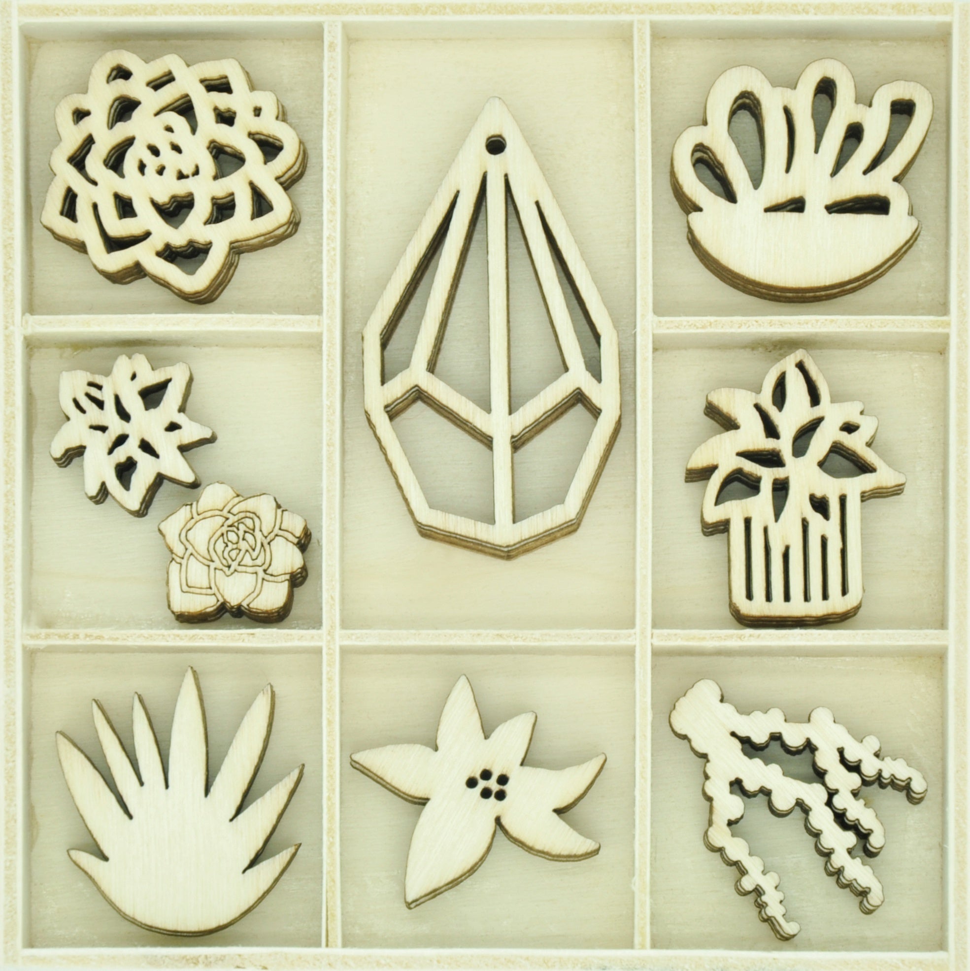 Kaisercraft Wood Mini Themed Embellishments - Succulents, 45/Pkg