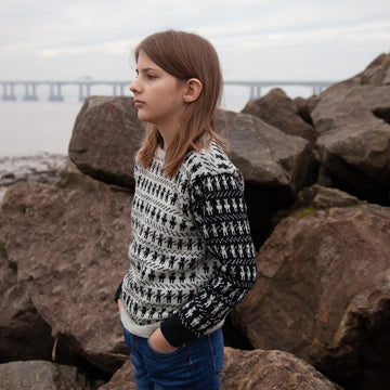 Animal Antics Jumper
