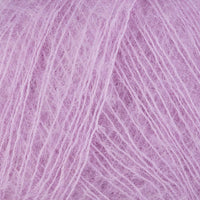 Hibiscus (665)