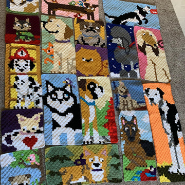 Dogghan C2C Blanket