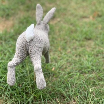 McGregor's Rabbit