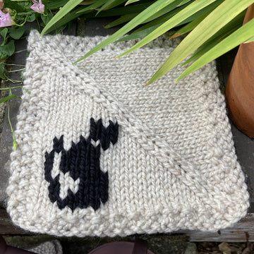 Black Cats on a Blanket