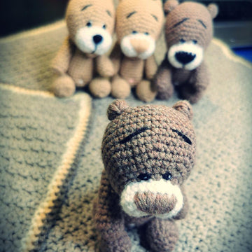 Pocket Bear