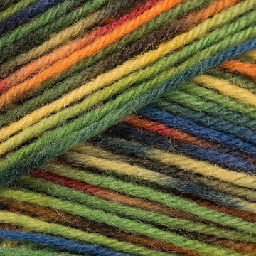 Regia 4 Ply Color 50g