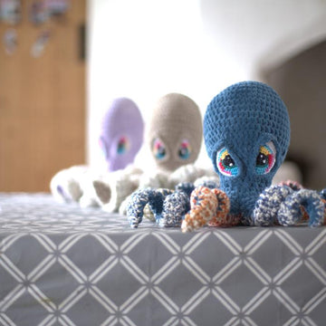 Noah the Octopus