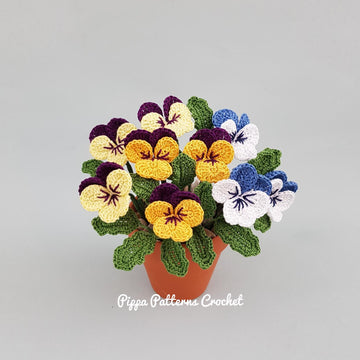 Pansy & Viola