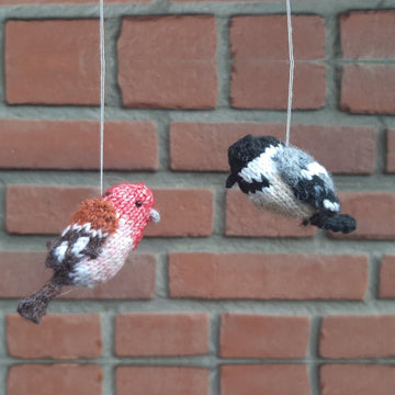 Backyard birds