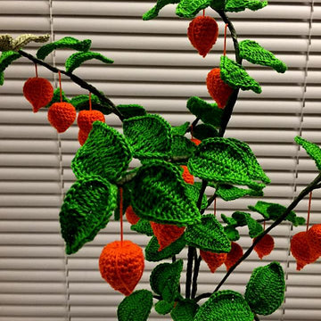 Chinese Lantern