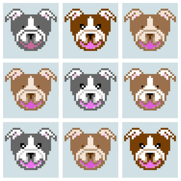 C2C Bulldog / Pitbull Dog Blanket Square