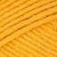 Mustard Yellow (923)