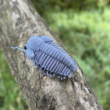 Trilobite