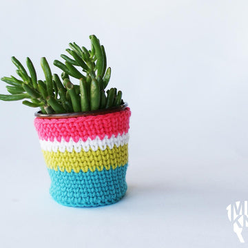 Striped Drink Cozies (2015031)