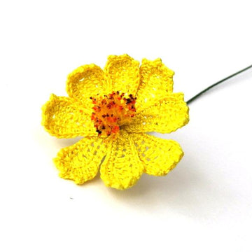 Cosmos flower wild flower