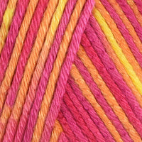Sunsetter (214)