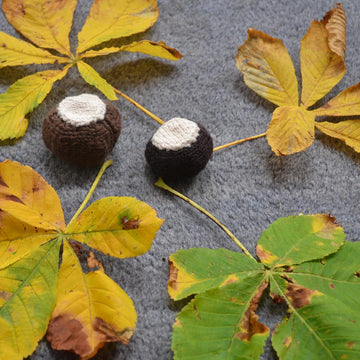 Conker and Shell