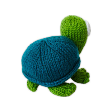 Spencer the Tortoise