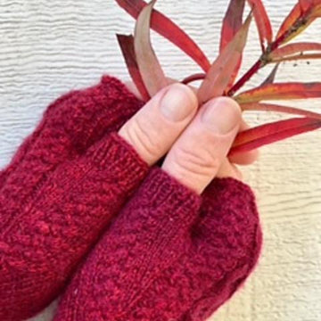 Red Ship Raiders Mitts