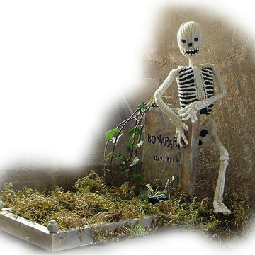A Bonaparte Skeleton by Georgina Manvell