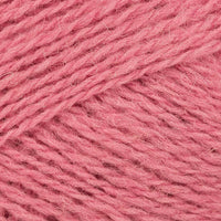 Sorbet (0570)