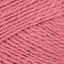 Sorbet (0570)