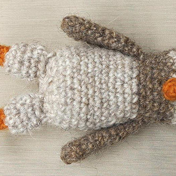 Odi the little owl