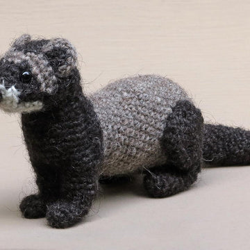 Bolhus the realistic ferret or polecat