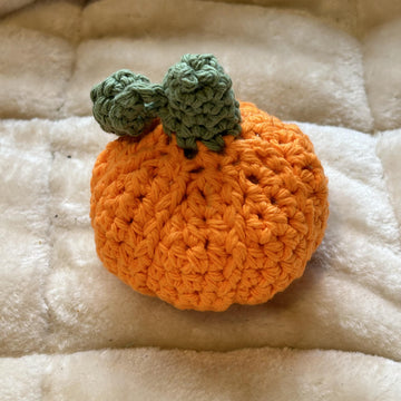 Pumpkin Cat Toy