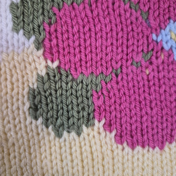 Chickee Poo Baby Blanket