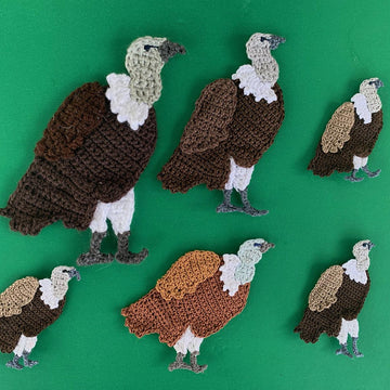 Vulture