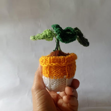 Monstera Basket