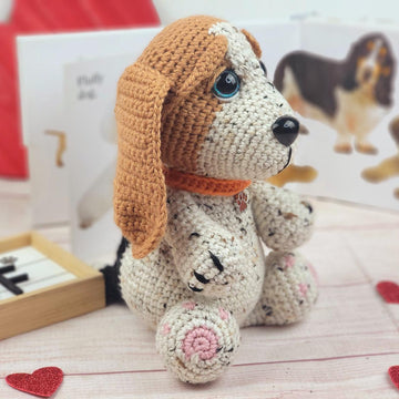 Missy the Basset hound