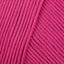 Fuchsia (14)