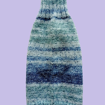 Blue Ridge Dog Coat