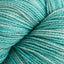 Hosta Blue (291)