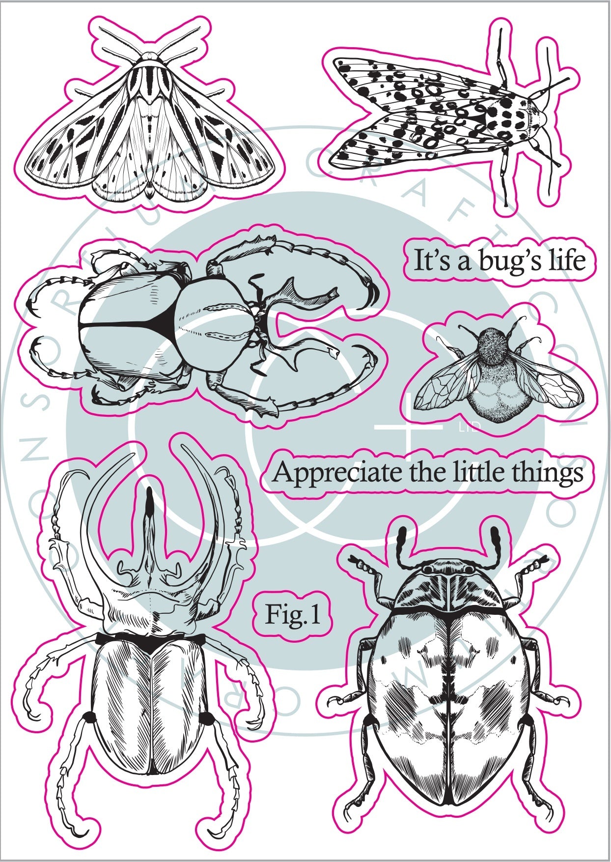 Craft Consortium A5 Clear Stamps - Beetles, The Emporium