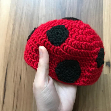Lady Bug baby Outfit
