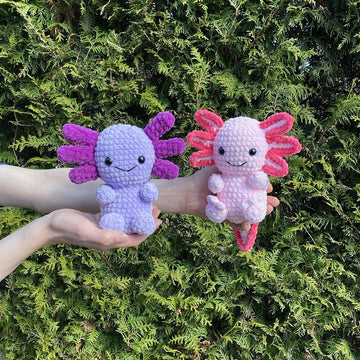 Little Axolotl