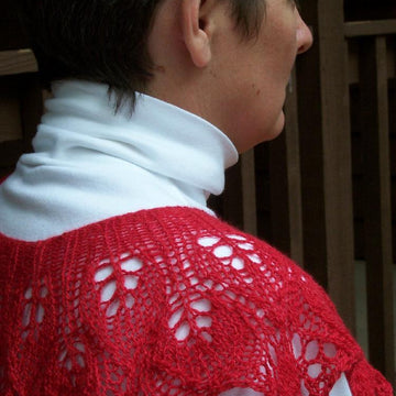 Christmas Collar