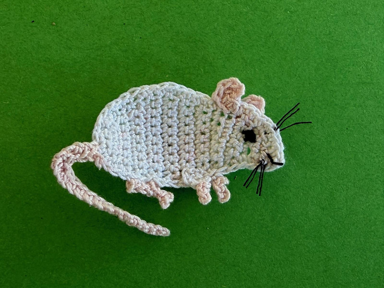 Rat