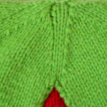 Strawberry Baby Blanket