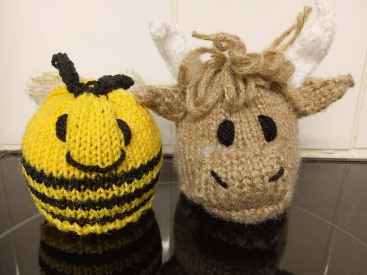 Highland cow and bee chocolate orange cover