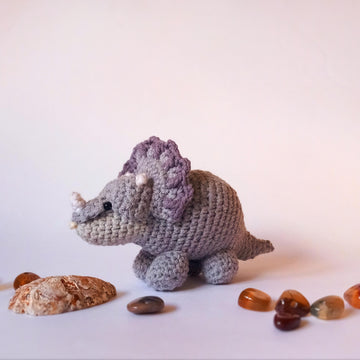 Dinosaurs E-BOOK * Triceratops, Brontosaurs, Stegosaurus