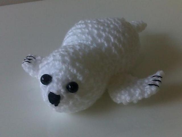 Baby Seal