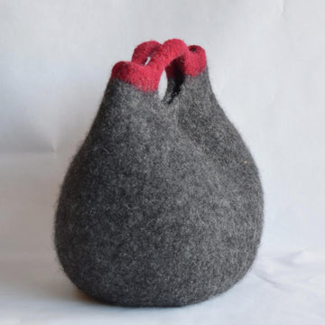 The Curve Bag