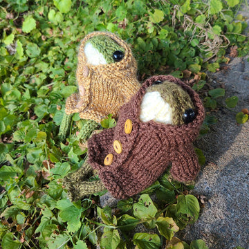 Froggy's Hooded Jacket
